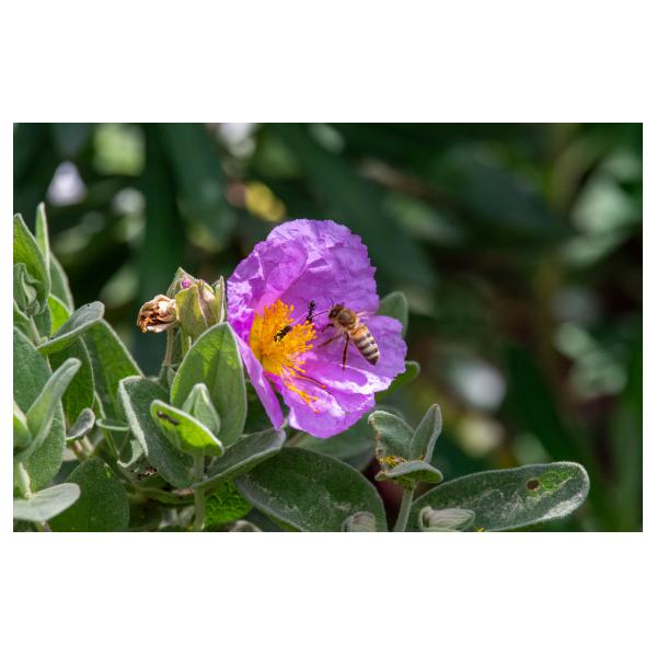 PHOTO84, CLUB, 84 , LUBERON